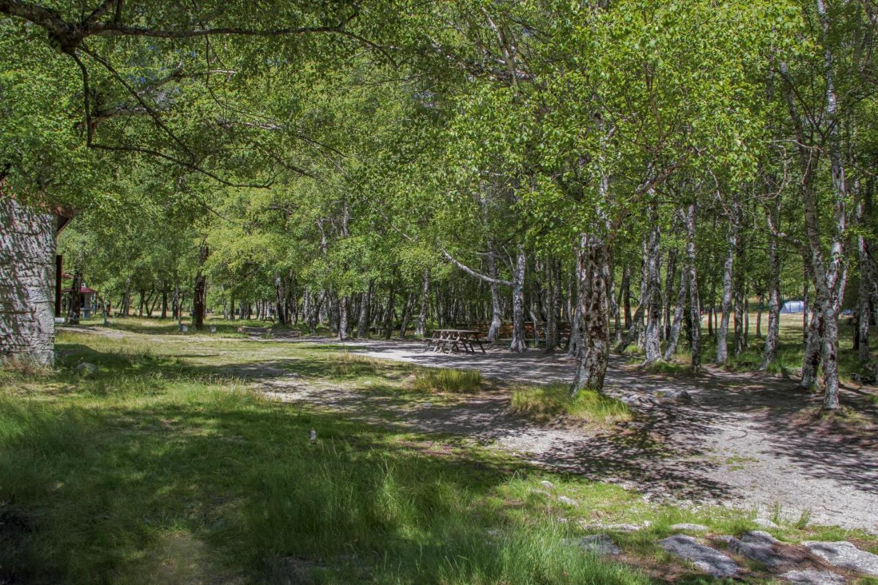 Luna Chalets Da Montanha - Serra Da Estrela Covilhã Εξωτερικό φωτογραφία